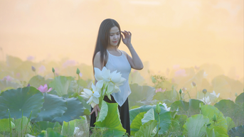 Sắc sen xứ Huế