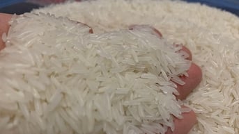 Giá gạo giảm mạnh, Thủ tướng yêu cầu giám sát thu mua, tránh lợi dụng ép giá