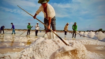 Festival nghề muối 2025: Nâng tầm giá trị hạt muối Việt Nam