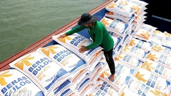 Thủ tướng yêu cầu nâng cao năng lực cạnh tranh, làm lành mạnh thị trường lúa gạo