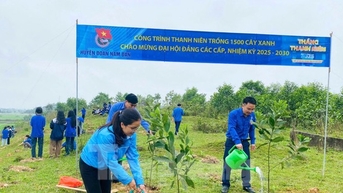 Tuổi trẻ Nghệ An với những công trình, phần việc tổng nguồn lực hơn 2 tỉ đồng