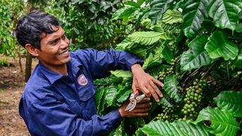 តម្លៃខ្ពស់គ្រប់ពេលវេលា 'អេធីអឹម' ម្តងទៀតបញ្ចេញប្រាក់រាប់ពាន់លានដុល្លារដល់កសិករនៅតំបន់ Central Highlands ម្តងទៀត
