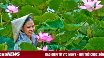 Đồng Tháp được hợp nhất từ những tỉnh nào?