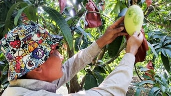 Loại đường nào tốt hơn cho sức khỏe?
