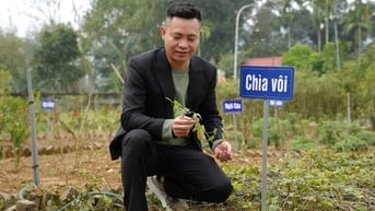 Sống vui khỏe nhờ thảo dược thiên nhiên