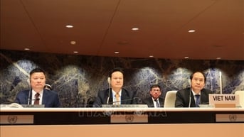 Việt Nam nỗ lực để không người khuyết tật nào bị bỏ lại phía sau trong quá trình phát triển kinh tế, xã hội