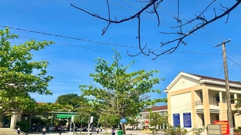 Chỉ đạo nóng vụ lùm xùm sửa khuôn viên trường