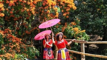 Hoa trang rừng rực rỡ, làm xiêu lòng người tại làng miền núi Bình Định
