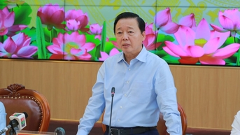 Nâng chất lượng, tính chuyên nghiệp trong xuất khẩu gạo