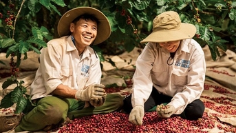 ឱកាសមាសសម្រាប់កាហ្វេវៀតណាម