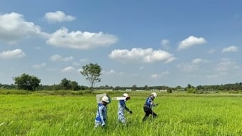Khảo sát sự quan tâm của nhà đầu tư về trạm dừng nghỉ cao tốc TP.HCM- Mộc Bài