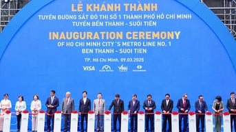 Vikki Digital Bank - ngân hàng số thúc đẩy giao thông công cộng