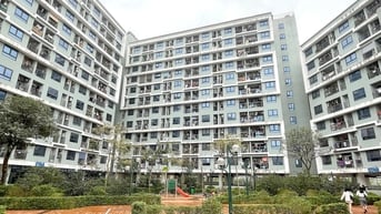 'Tay chơi mới' trên thị trường bất động sản
