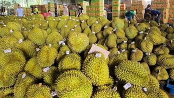 Thương mại Việt Nam – Trung Quốc vượt 31 tỷ USD