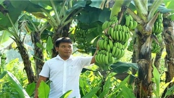 Giảm nghèo hiệu quả nhờ những mô hình làm kinh tế giỏi
