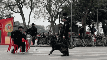 Mãn nhãn với màn trình diễn kỵ binh, cảnh khuyển trấn áp tội phạm bên hồ Gươm