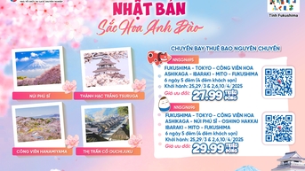 Khi thiên nhiên và văn hoá hoà quyện tạo nên bản giao hưởng hương sắc tại Fukushima