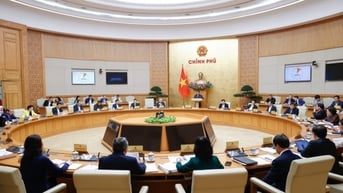 Tuần đầu tiên và những kỳ vọng lâu dài