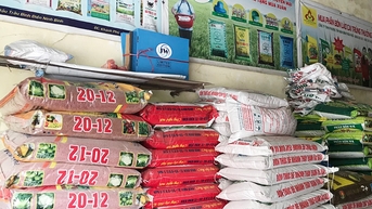 Phân urê tiếp đà tăng