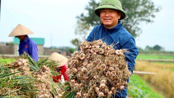 Phục hồi 'sức khoẻ' đất nông nghiệp ở Nam Tân (Nam Sách)