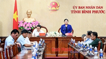 Chạy nước rút kịp khởi công dự án thành phần cao tốc Gia Nghĩa - Chơn Thành trong tháng 4