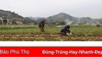 Dự án Hỗ trợ sản xuất giúp đồng bào DTTS thoát nghèo bền vững