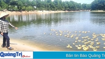 Nâng cao hiệu quả đầu tư để phát triển kinh tế nông nghiệp