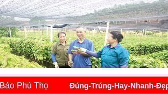 Đồng hành với cựu chiến binh