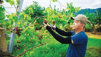 Hòa Bắc vào mùa du lịch