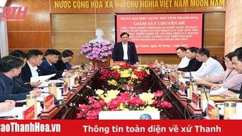 Đoàn đại biểu Quốc hội tỉnh nâng cao chất lượng giám sát theo chuyên đề