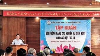 Bồi dưỡng nâng cao nghiệp vụ kiểm soát cho hợp tác xã