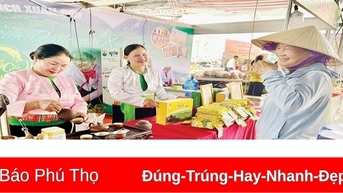 Liên minh Hợp tác xã tỉnh đồng hành cùng hợp tác xã phát triển