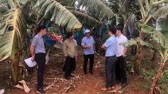 HĐND tỉnh Gia Lai giám sát việc thực hiện các ý kiến, kiến nghị tại Chư Sê