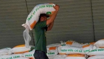 Phân bón Gà vàng cùng nông dân Đắk Nông chống hạn