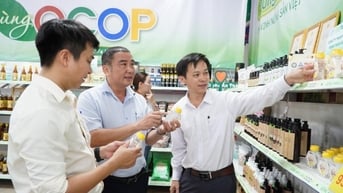 Trưng bày, giới thiệu hơn 40 sản phẩm OCOP tại siêu thị Co.opmart Quảng Ngãi