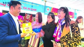 Măng rừng và hành trình đến sản phẩm OCOP
