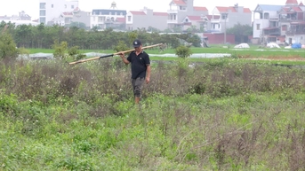 Hai Duong កាត់​បន្ថយ​ផ្ទៃដី​ដែល​គេ​បោះបង់ចោល​ចំនួន ៤៥,១ ហិកតា