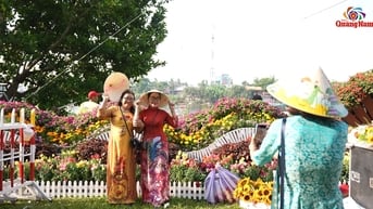 Rộn ràng lễ hội giữa lòng phố hoa sưa