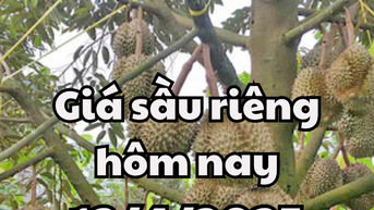 180.000 vẫn là mức giá cao nhất