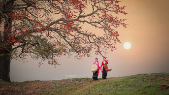 Ngắm con đường hoa gạo đỏ rực được người dân xứ Nghệ bảo vệ