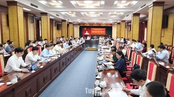 Hội nghị Ban Chấp hành Đảng bộ tỉnh lần thứ 22 tiếp tục làm việc