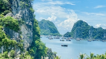 Du lịch tự túc lên ngôi trong năm 2025