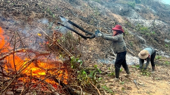 Cảnh báo cháy rừng cấp cực kỳ nguy hiểm