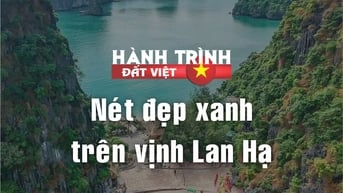 Nét đẹp xanh trên Vịnh Lan Hạ