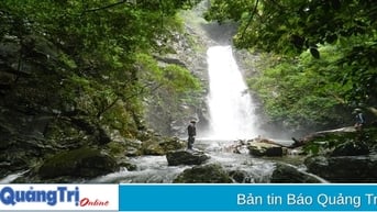 Đề xuất cho khai thác thử nghiệm sản phẩm du lịch sinh thái “Trekking đỉnh Pa Thiên