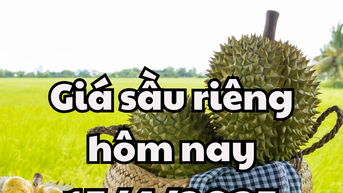 Chưa có biến động nào