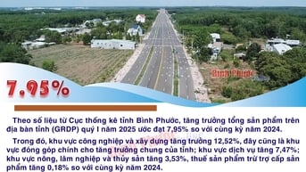 Bình Phước: Quý I-2025, tăng trưởng GRDP đạt 7,95%