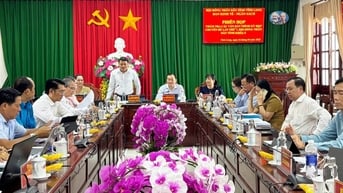 Ban Kinh tế- Ngân sách HĐND tỉnh thẩm tra các văn bản trình kỳ họp chuyên đề lần thứ 7, HĐND tỉnh khoá X