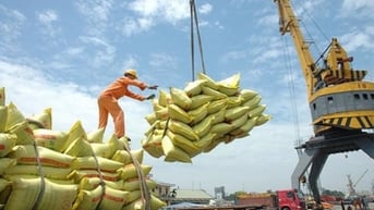 Giá gạo Thái Lan chạm đáy hơn 3 năm, gạo Việt lại đứng đầu thế giới