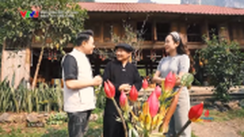 Tuyên Quang – Sống xanh giữa đại ngàn, thấm đẫm hồn dân tộc